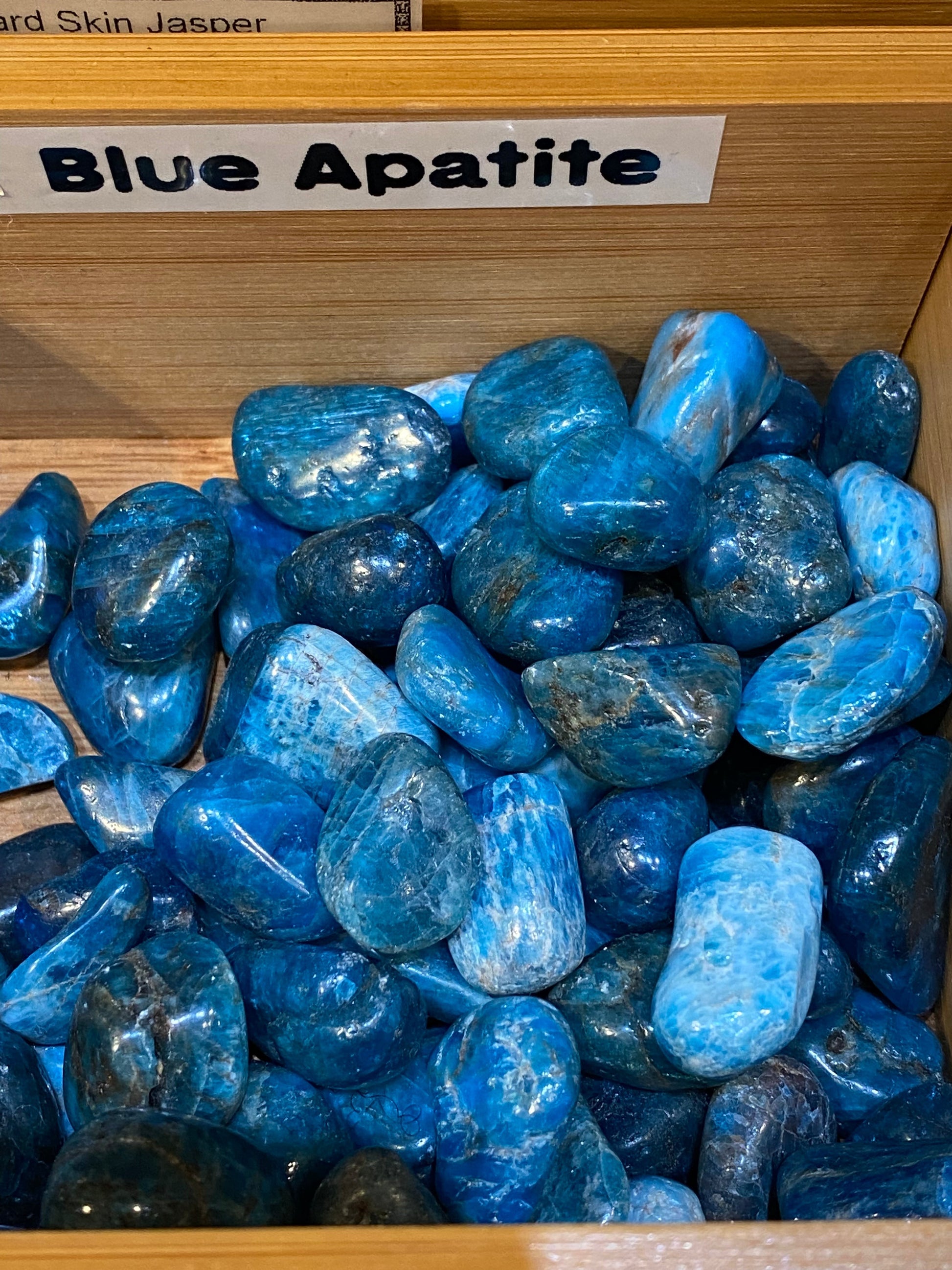 Blue Apatite tumbled stones for knowledge, reflection, and vision in a display box.