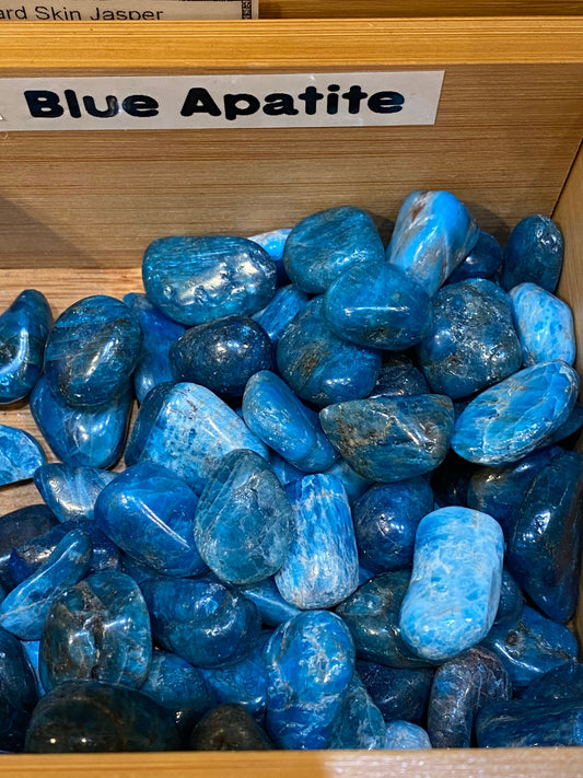 Blue Apatite tumbled stones for knowledge, reflection, and vision in a display box.