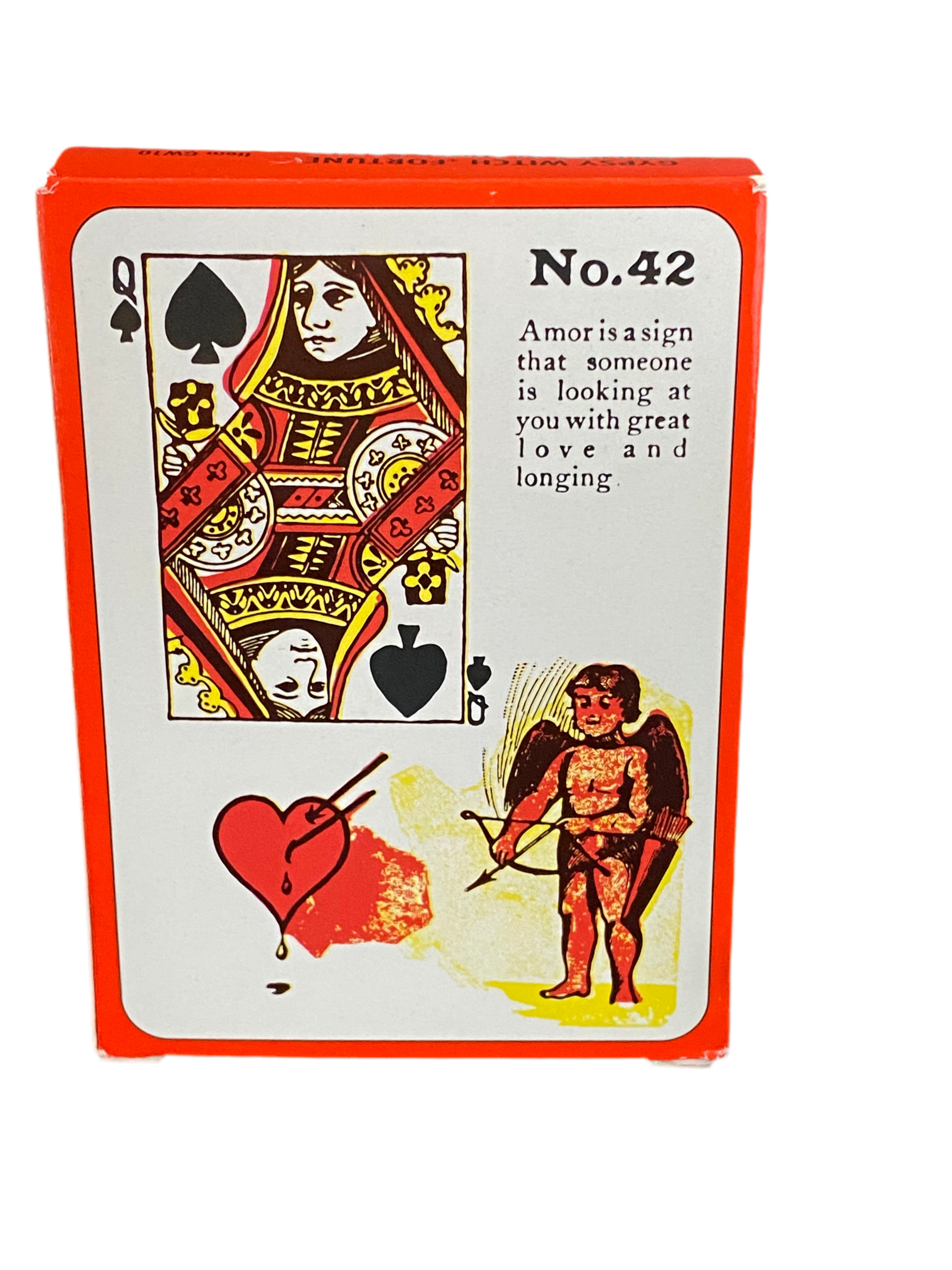 Gypsy Witch Fortune Telling Playing Cards