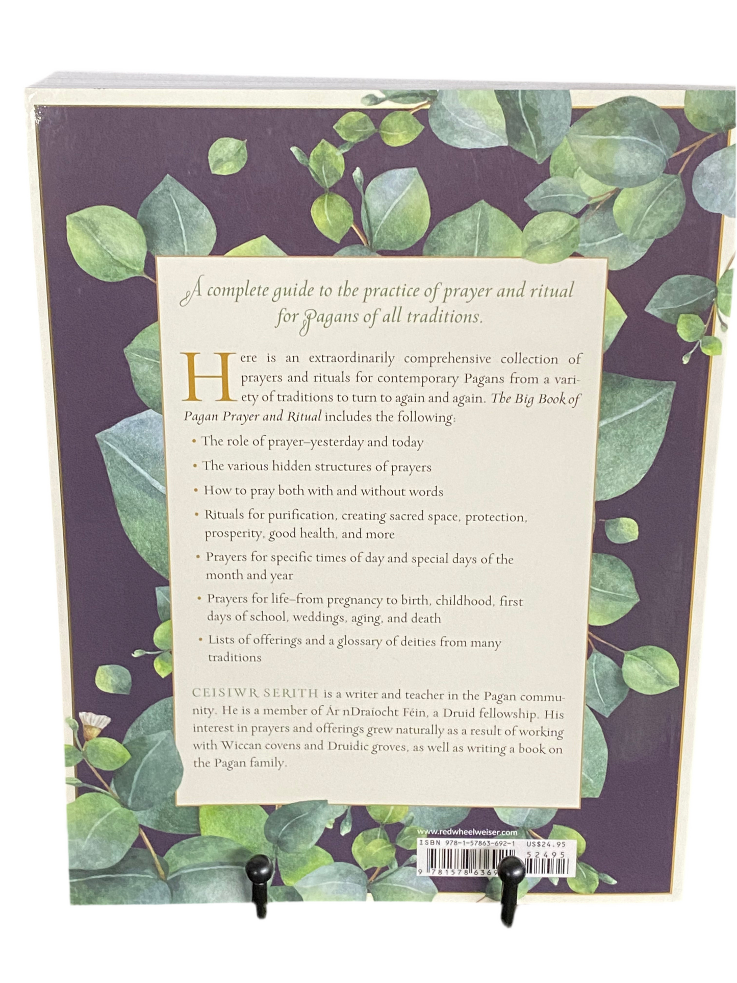 The Big Book of Pagan Prayer and Ritual