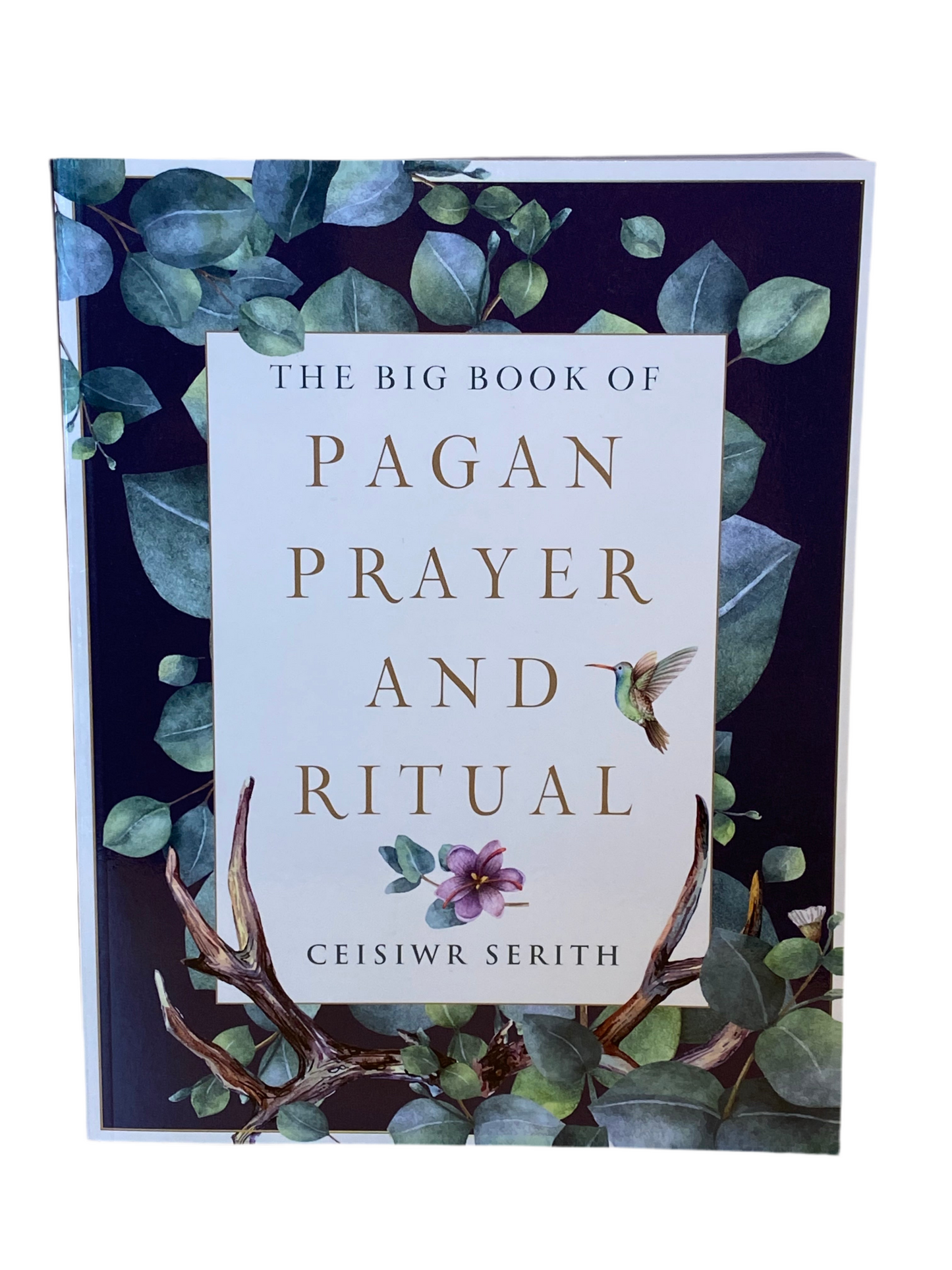 The Big Book of Pagan Prayer and Ritual by Ceisiwr Serith cover featuring nature elements and a hummingbird.