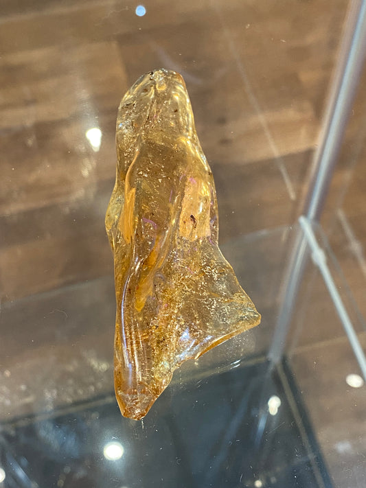 Amber Fossil Polished Specimen 1pc