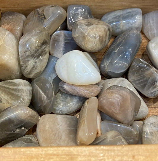 Black Moonstone Crystal tumbled stones for grounding and intuition.
