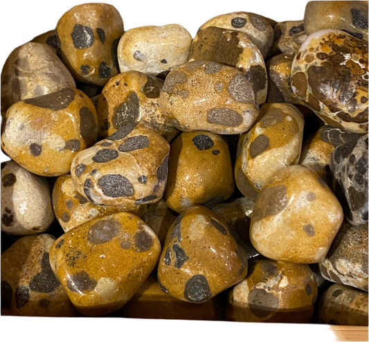 Leopard Skin Jasper tumbled stones featuring natural patterns and earthy tones.