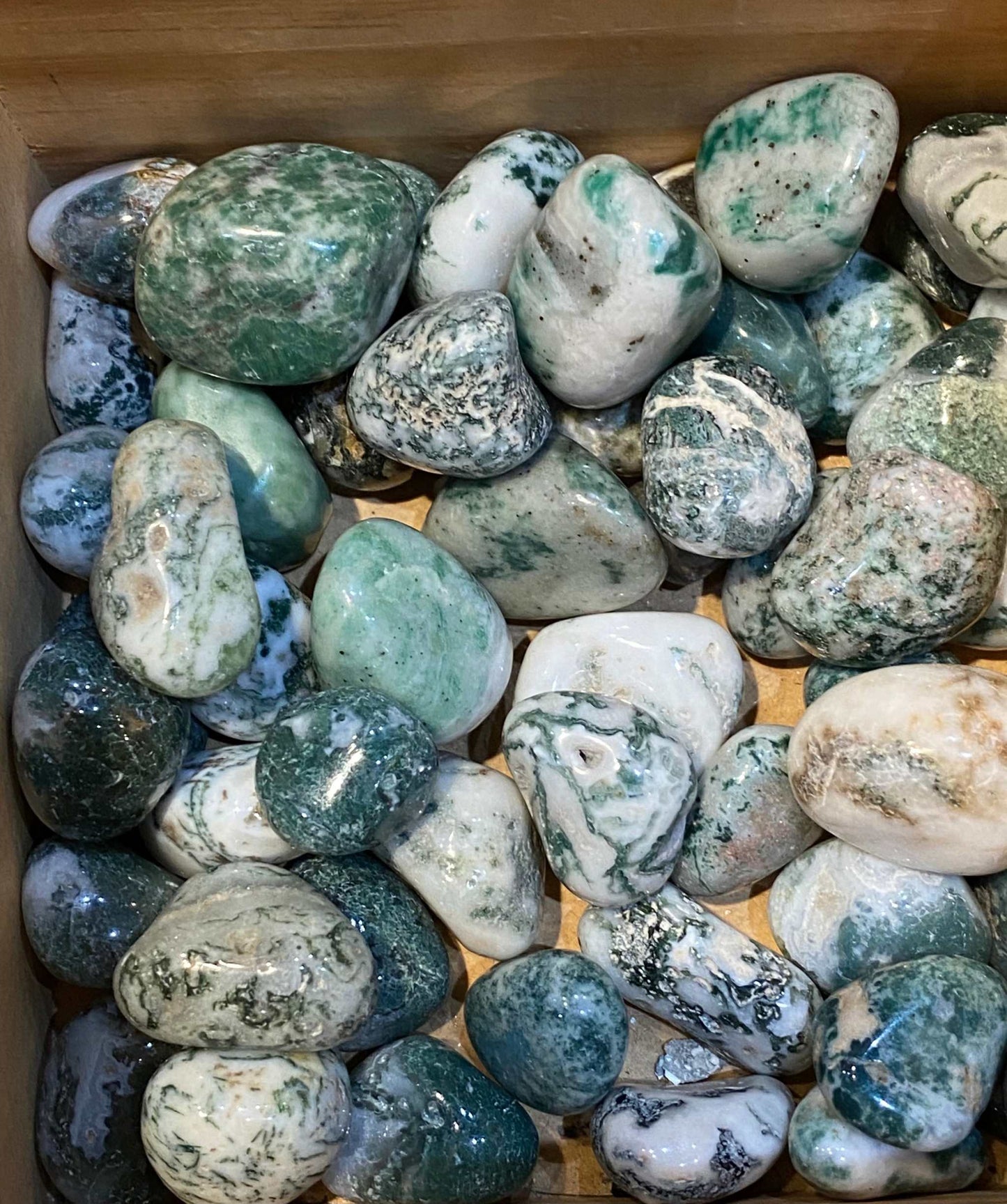 Tree Agate