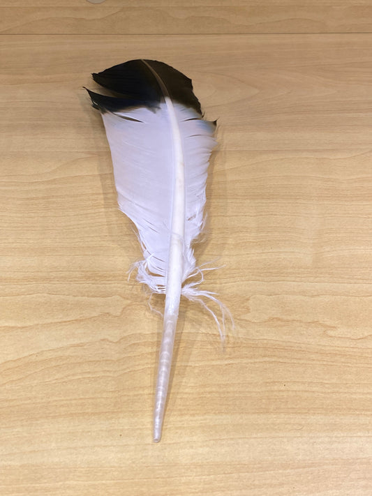 Eagle Feather Imitation (Each) Black and White