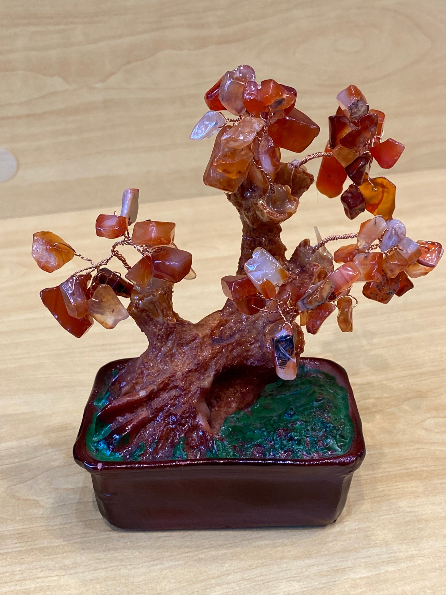 Desktop Bonsai Tree Carnelian in a Red Tub Small