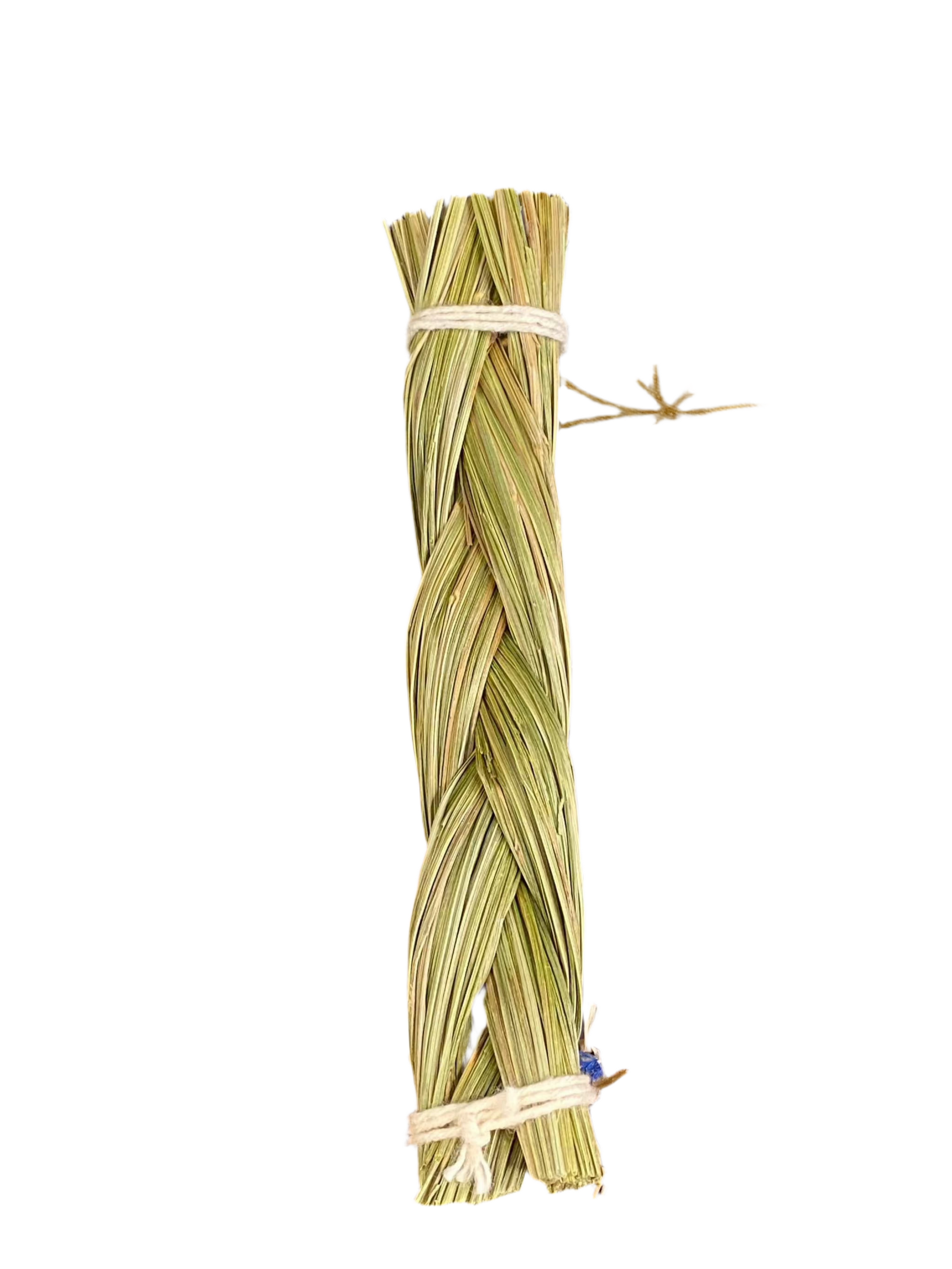 Sweetgrass 5 inch Braid for purification and sacred rituals.