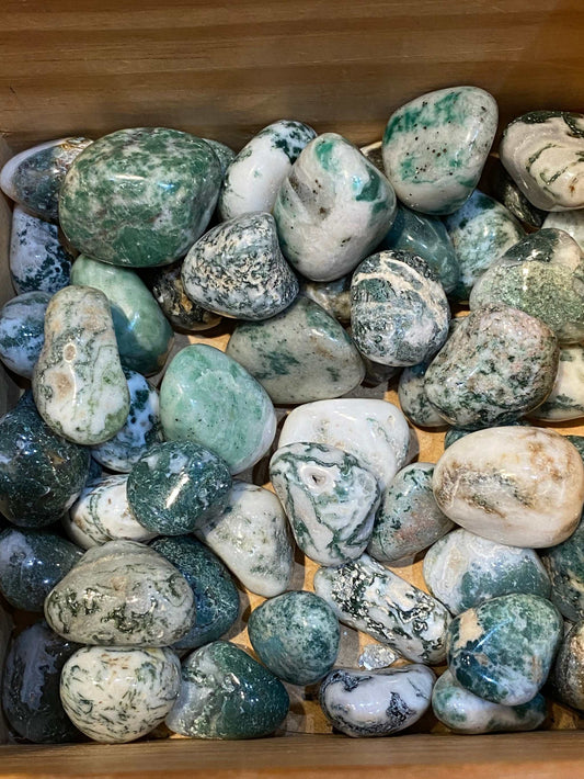 Tree Agate tumbled stones in varying green and white hues for peace and awareness.