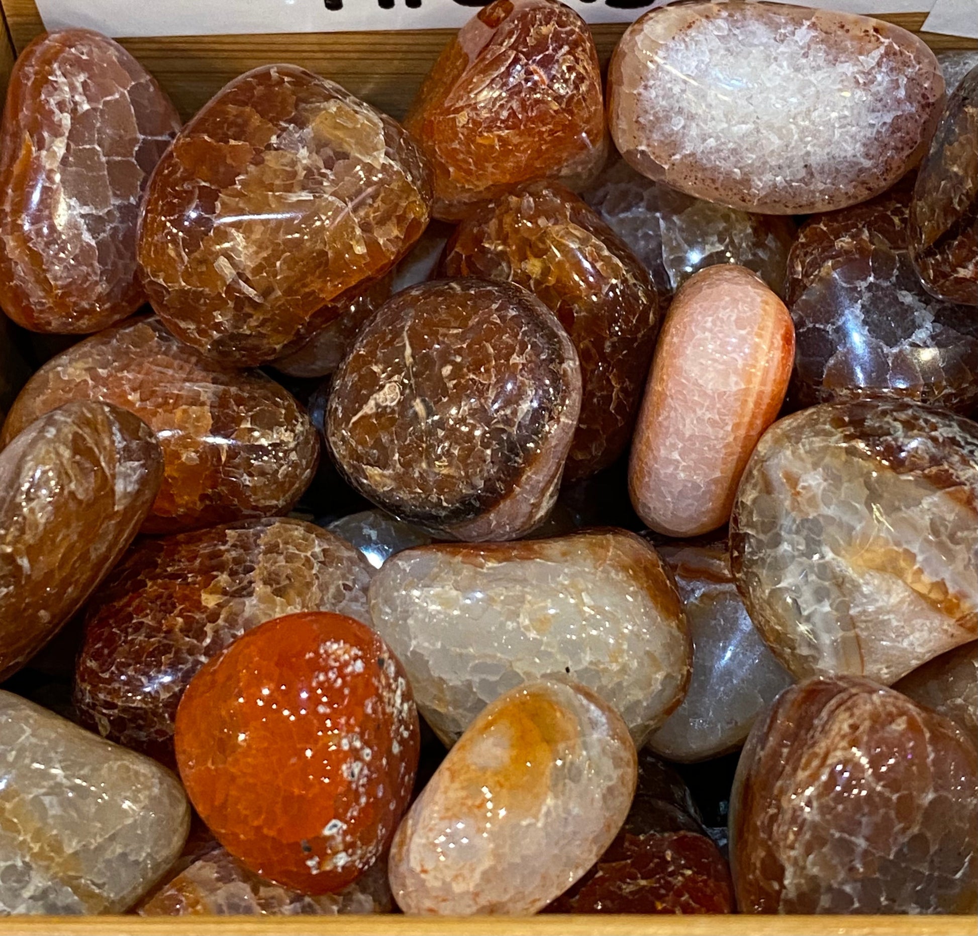 Snakeskin Fire Agate