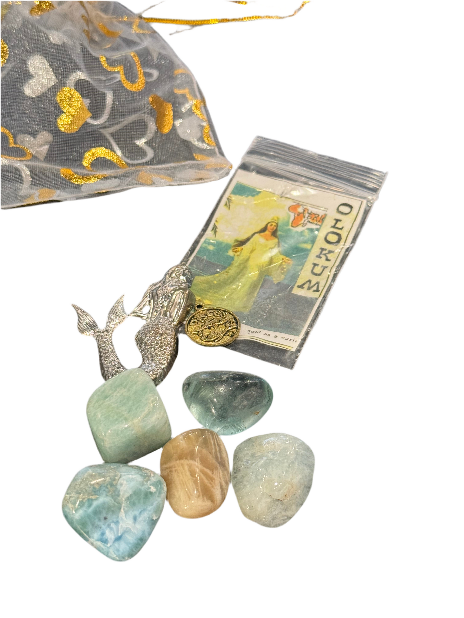 Pisces Zodiac Kit