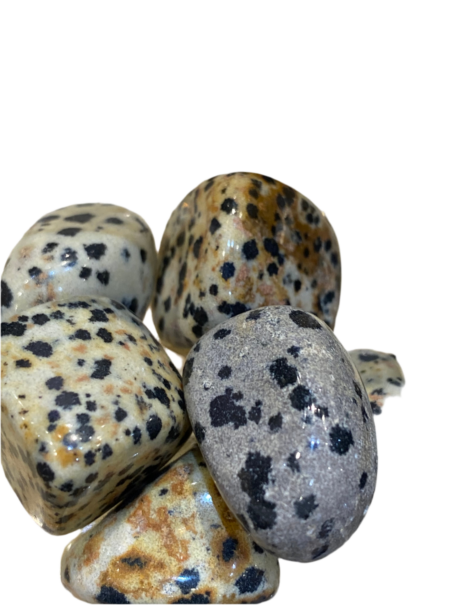 Dalmatian Jasper Stone