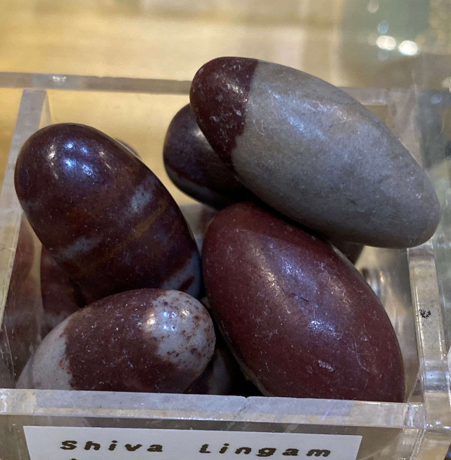 Shiva Lingham Egg Tumbled Stone Medium Size 1pc