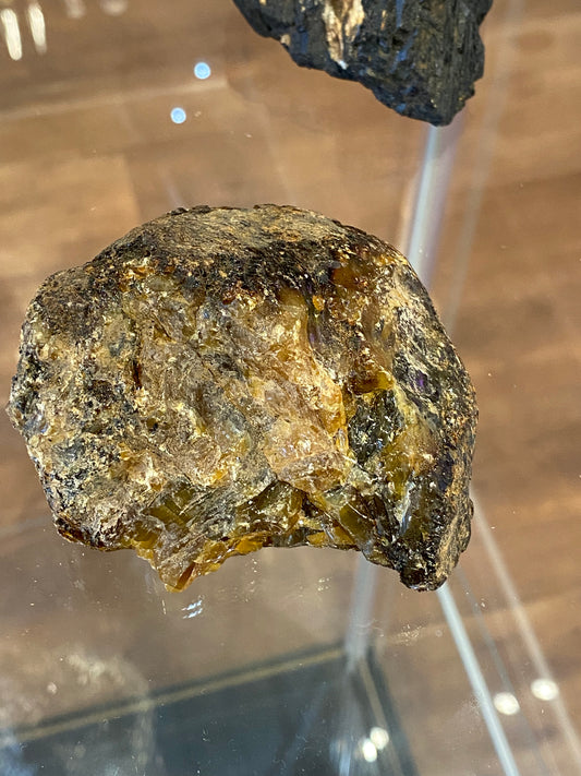 Amber Fossil Large Specimen 3”