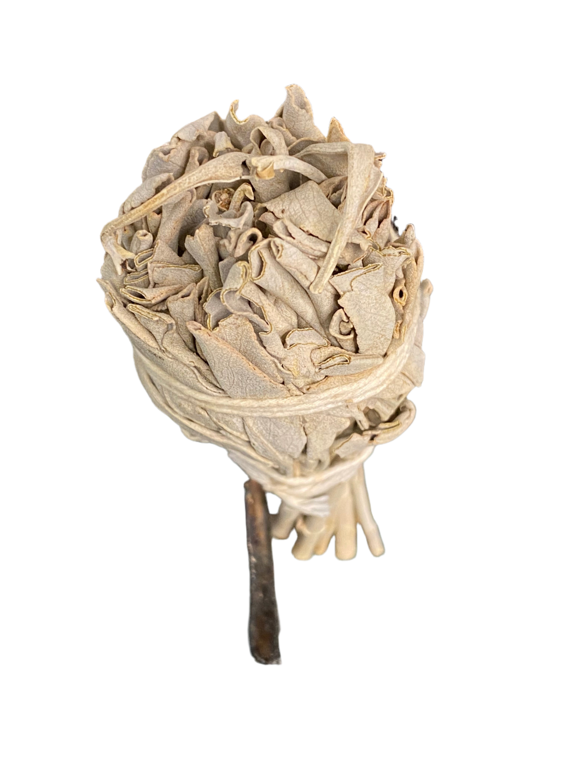 White Sage Mini Torch