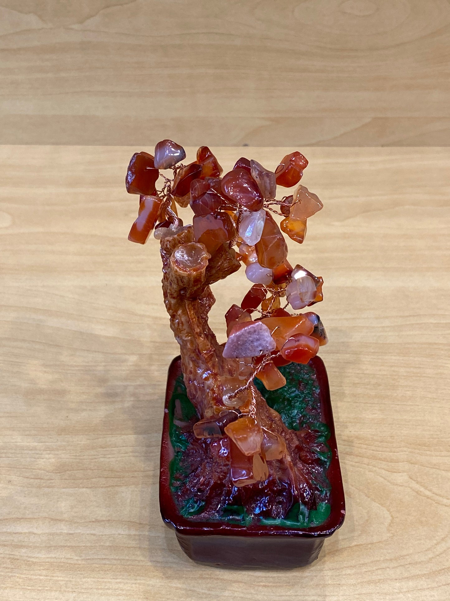 Desktop Bonsai Tree Carnelian in a Red Tub Small