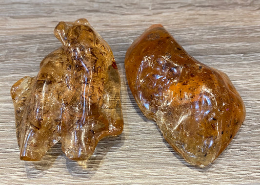 Amber Fossil Polished Specimen Stone 1pc