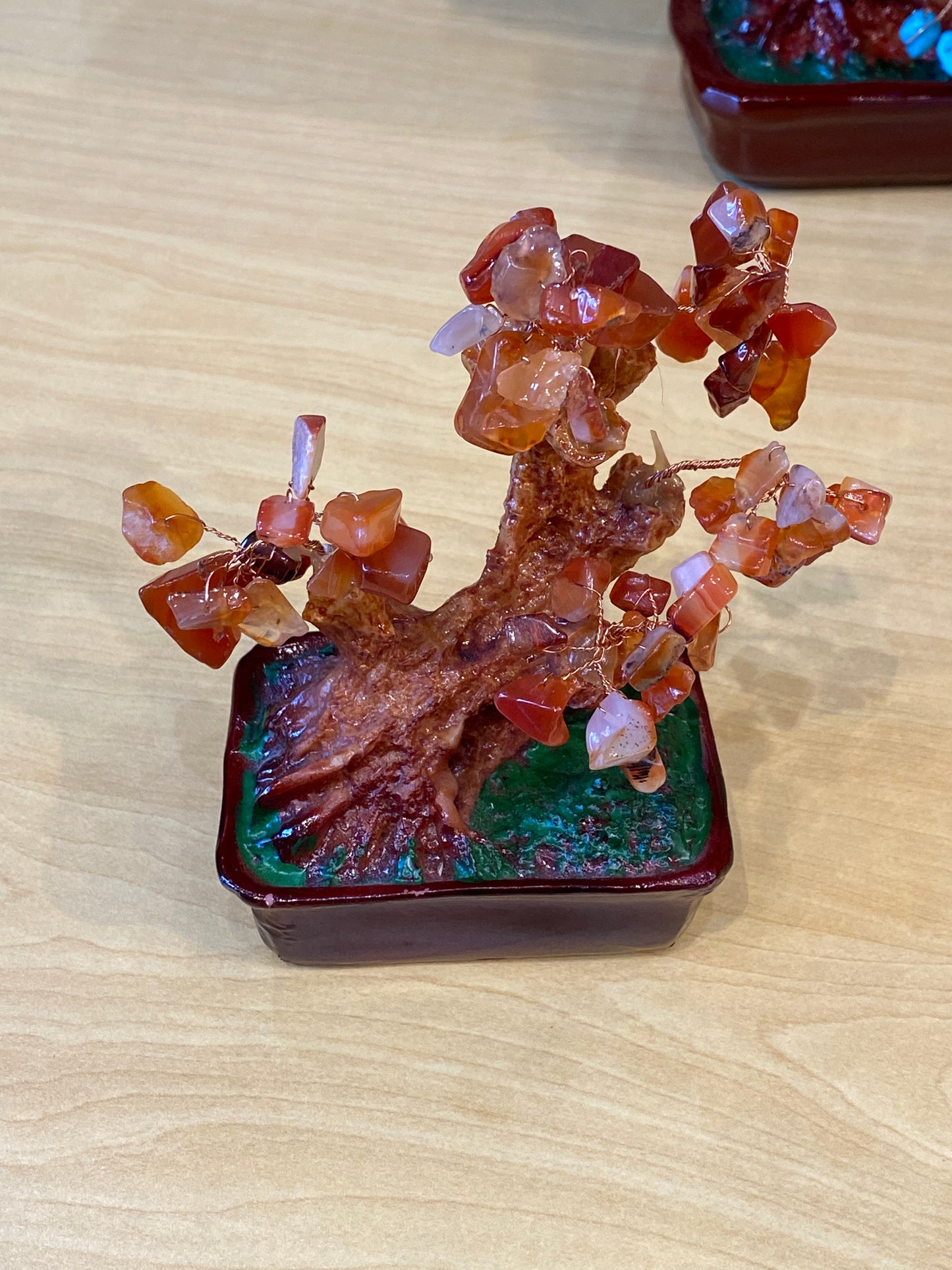 Desktop Bonsai Tree Carnelian in a Red Tub Small