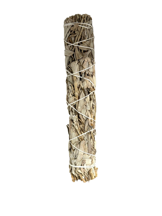 White Sage 12 inch wand for cleansing and rituals.
