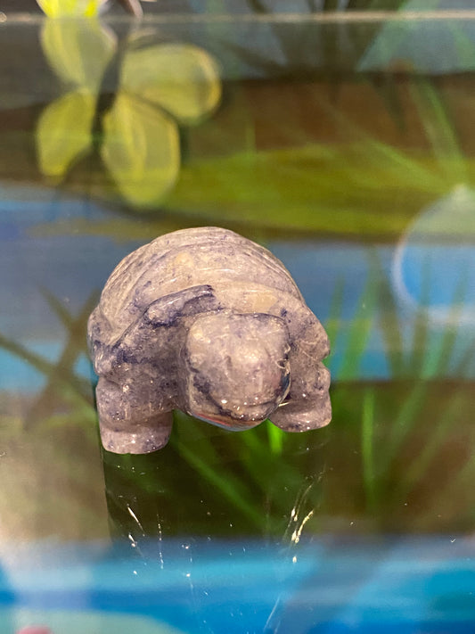 Spirit Animal Sodalite Turtle Hand Carved Polished Stone