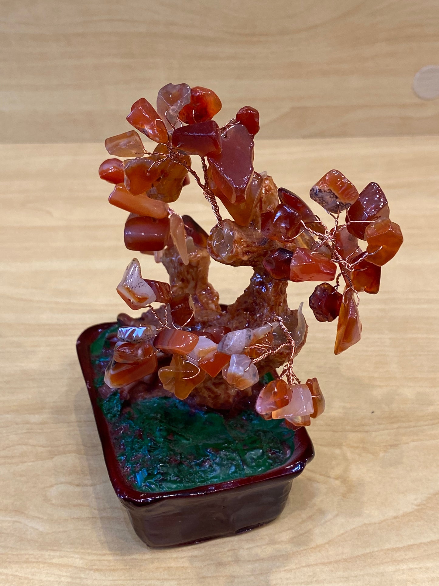 Desktop Bonsai Tree Carnelian in a Red Tub Small
