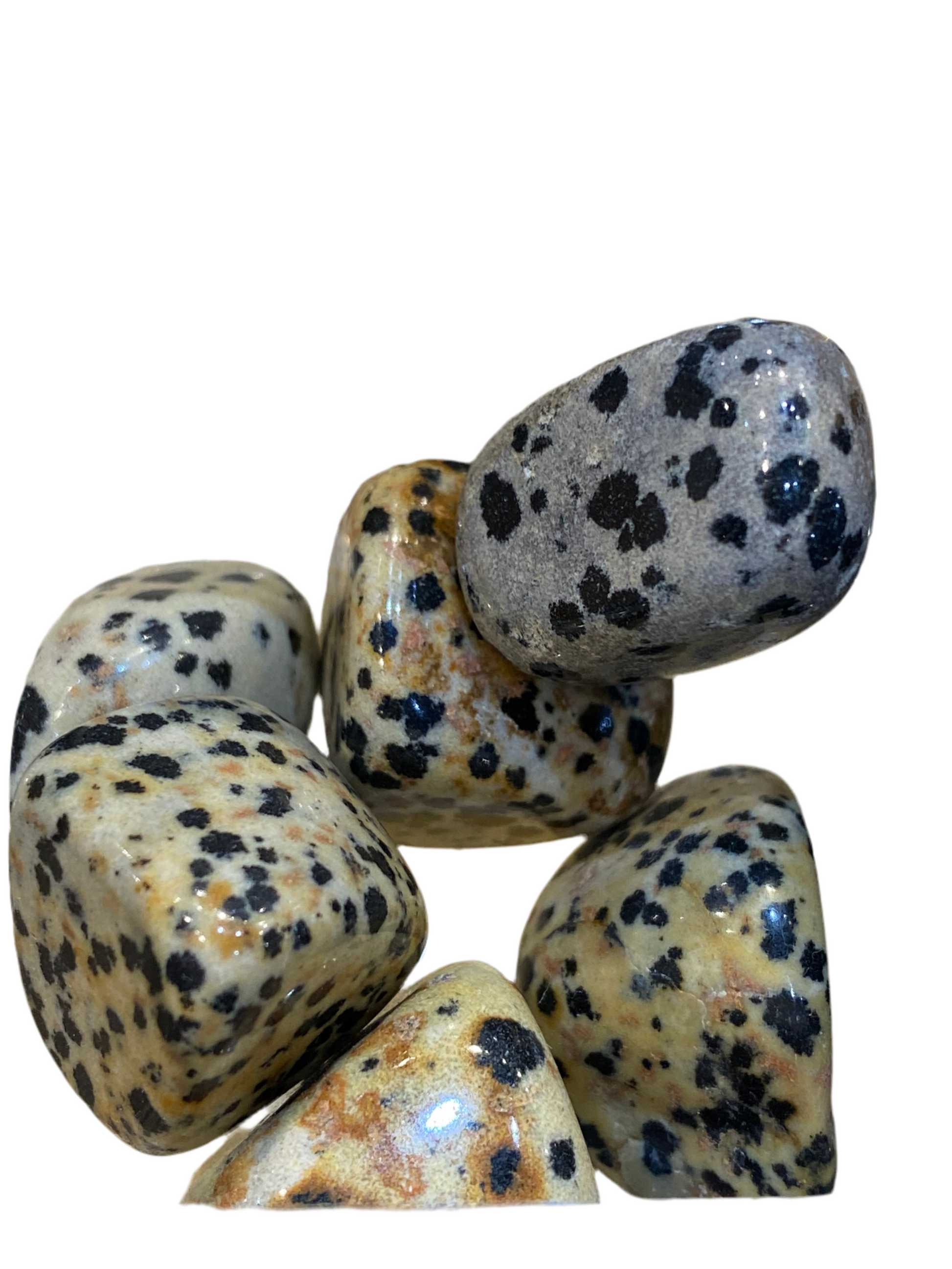 Dalmatian Jasper Stone