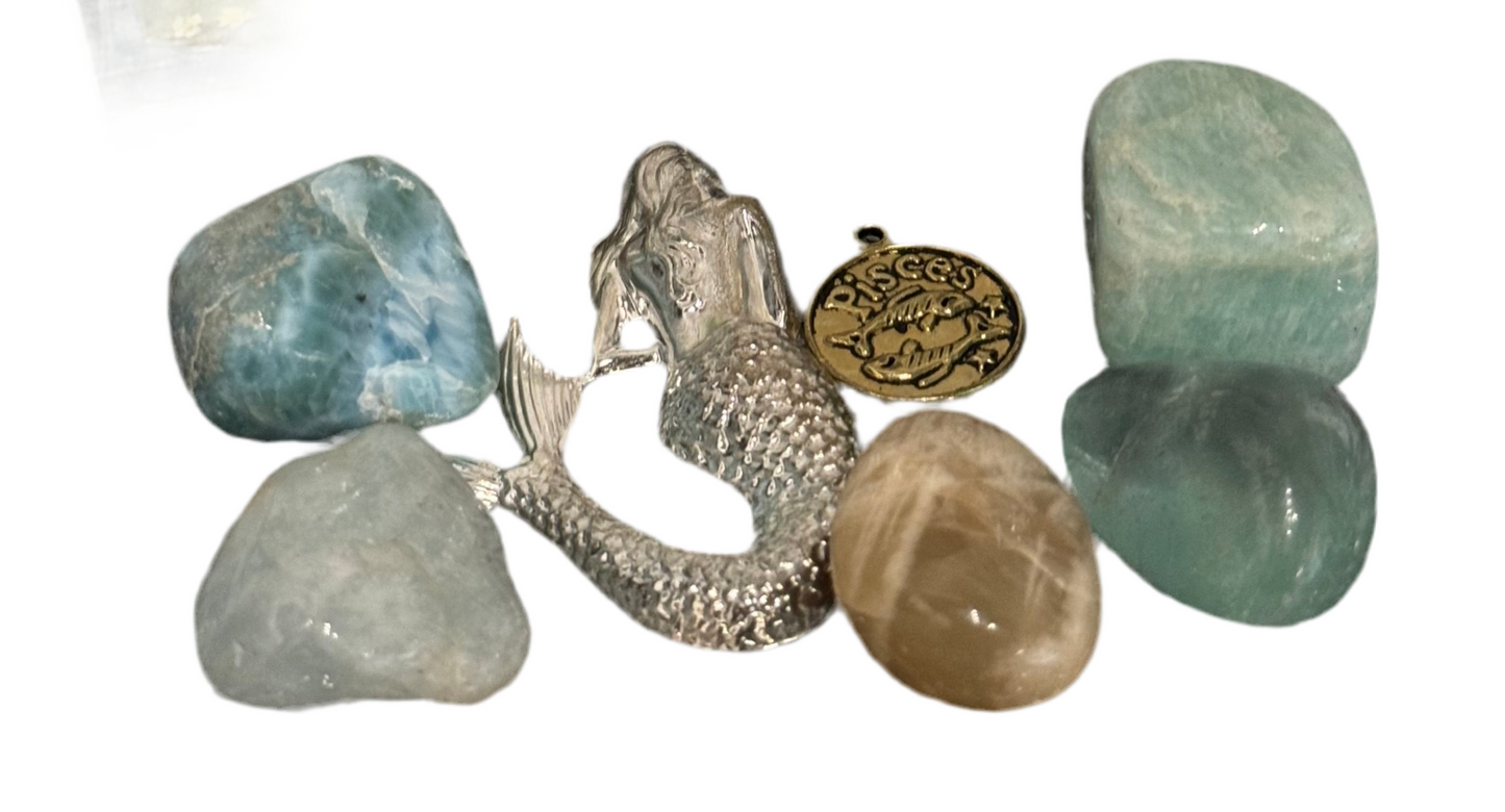 Pisces Zodiac Kit