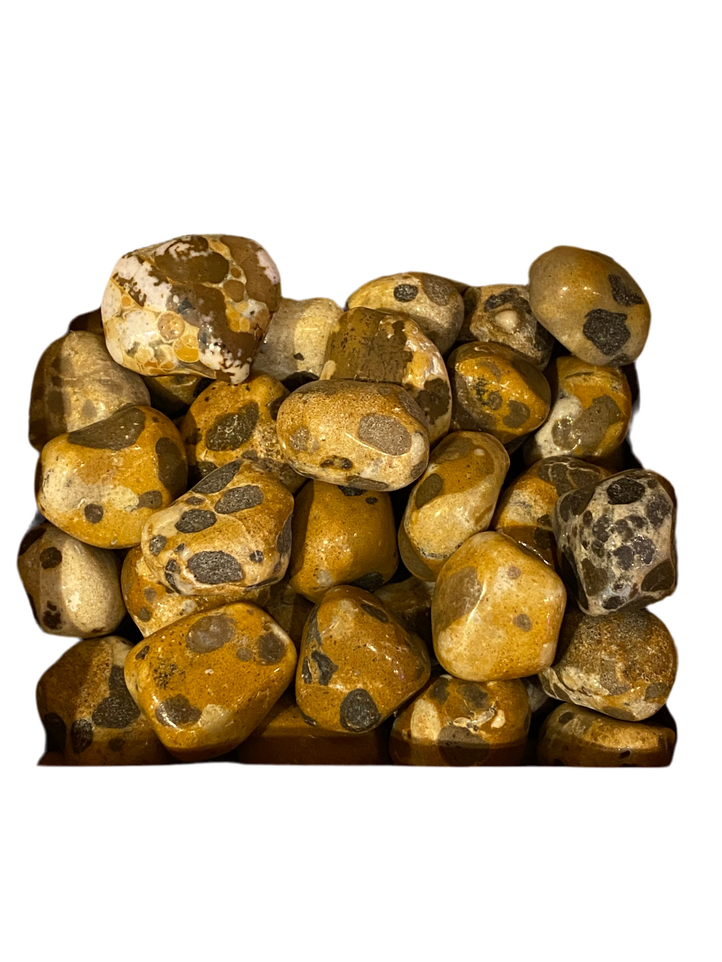 Leopard Skin Jasper