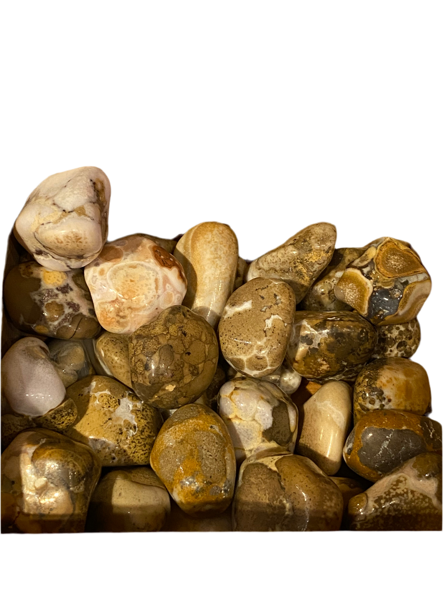 Leopard Skin Jasper