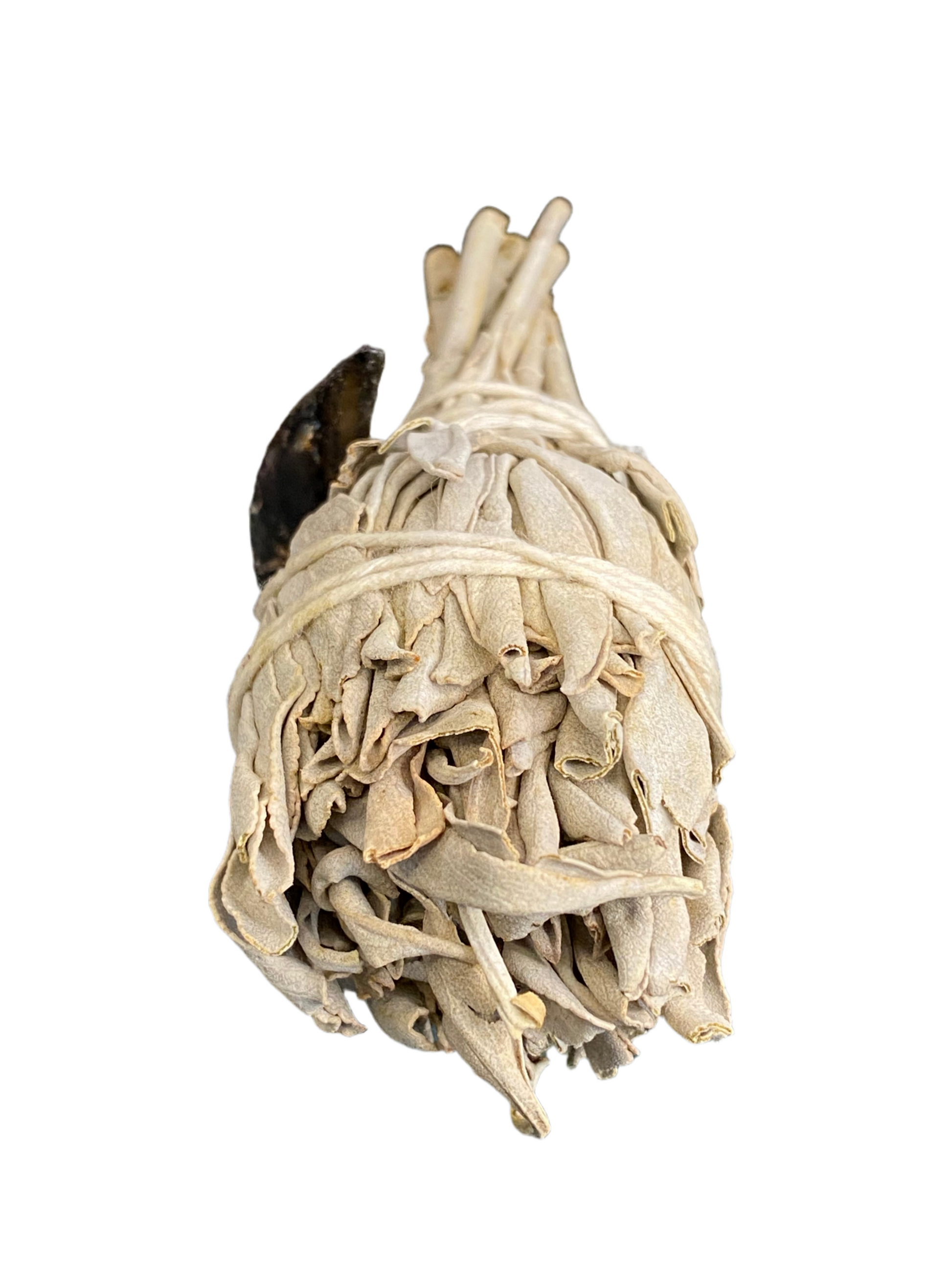 White Sage Mini Torch