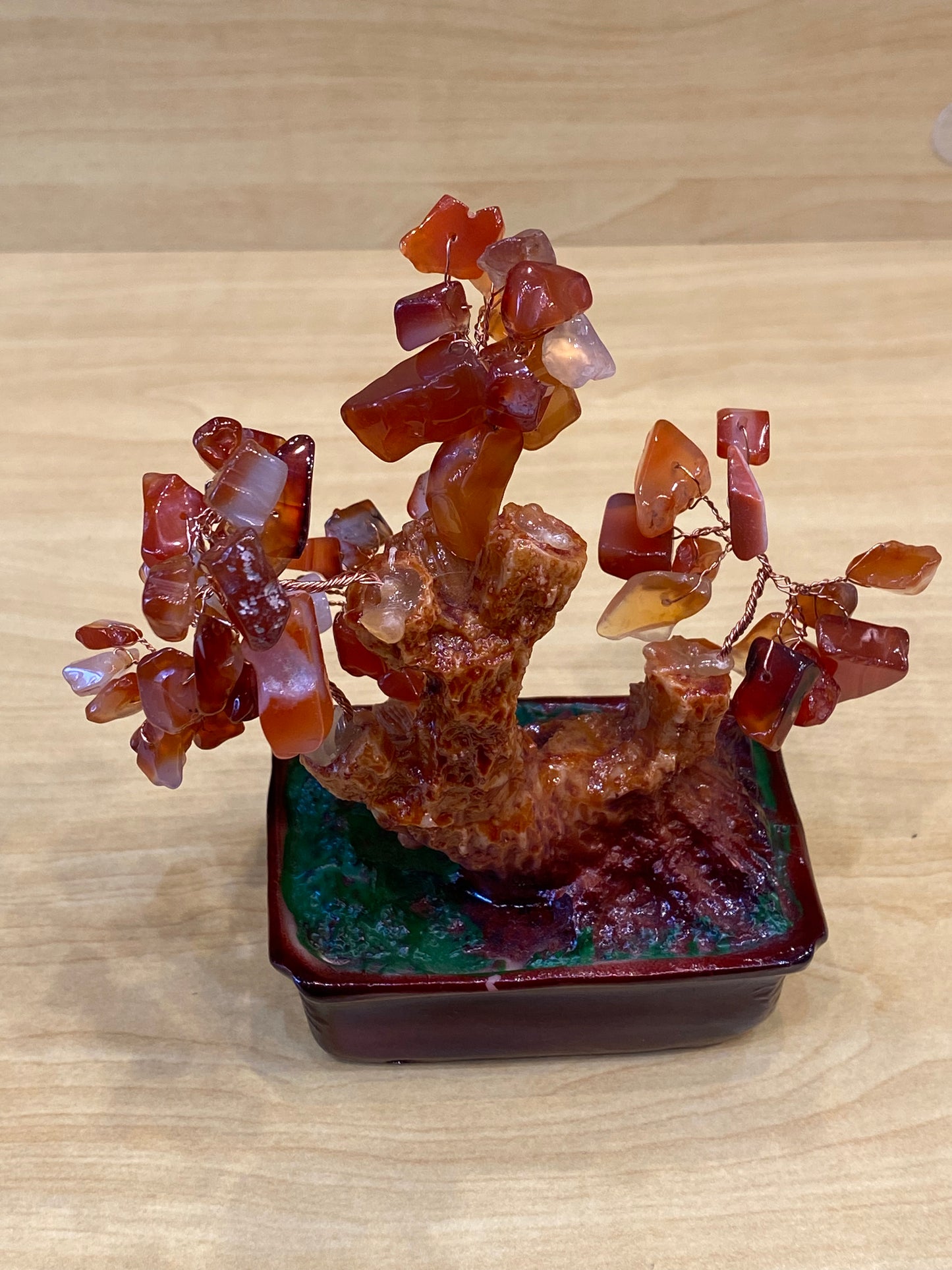 Desktop Bonsai Tree Carnelian in a Red Tub Small
