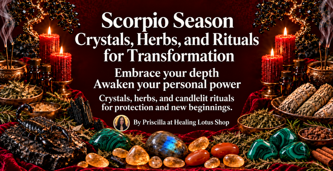 Scorpio Season Crystals, Herbs, and Rituals for Transformation