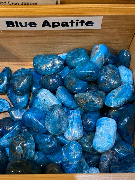 Blue Apatite Tumbled Stones 1pc