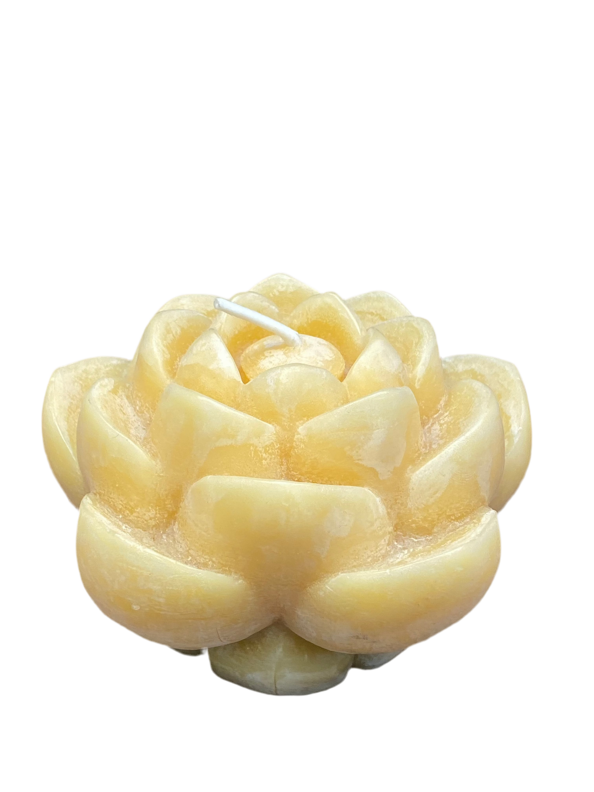 Beeswax Lotus Flower