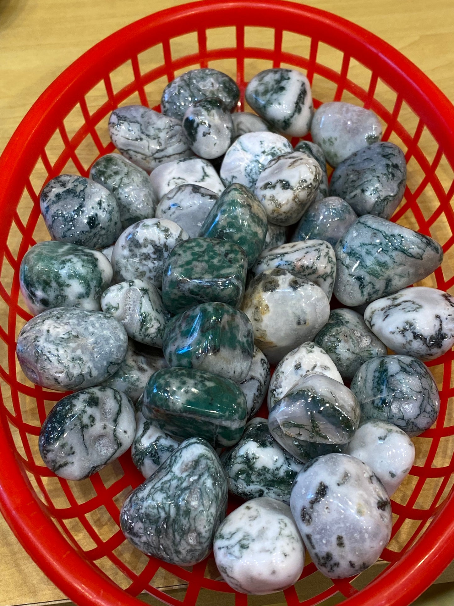 Tree Agate Tumbled Medium Stone 1pc