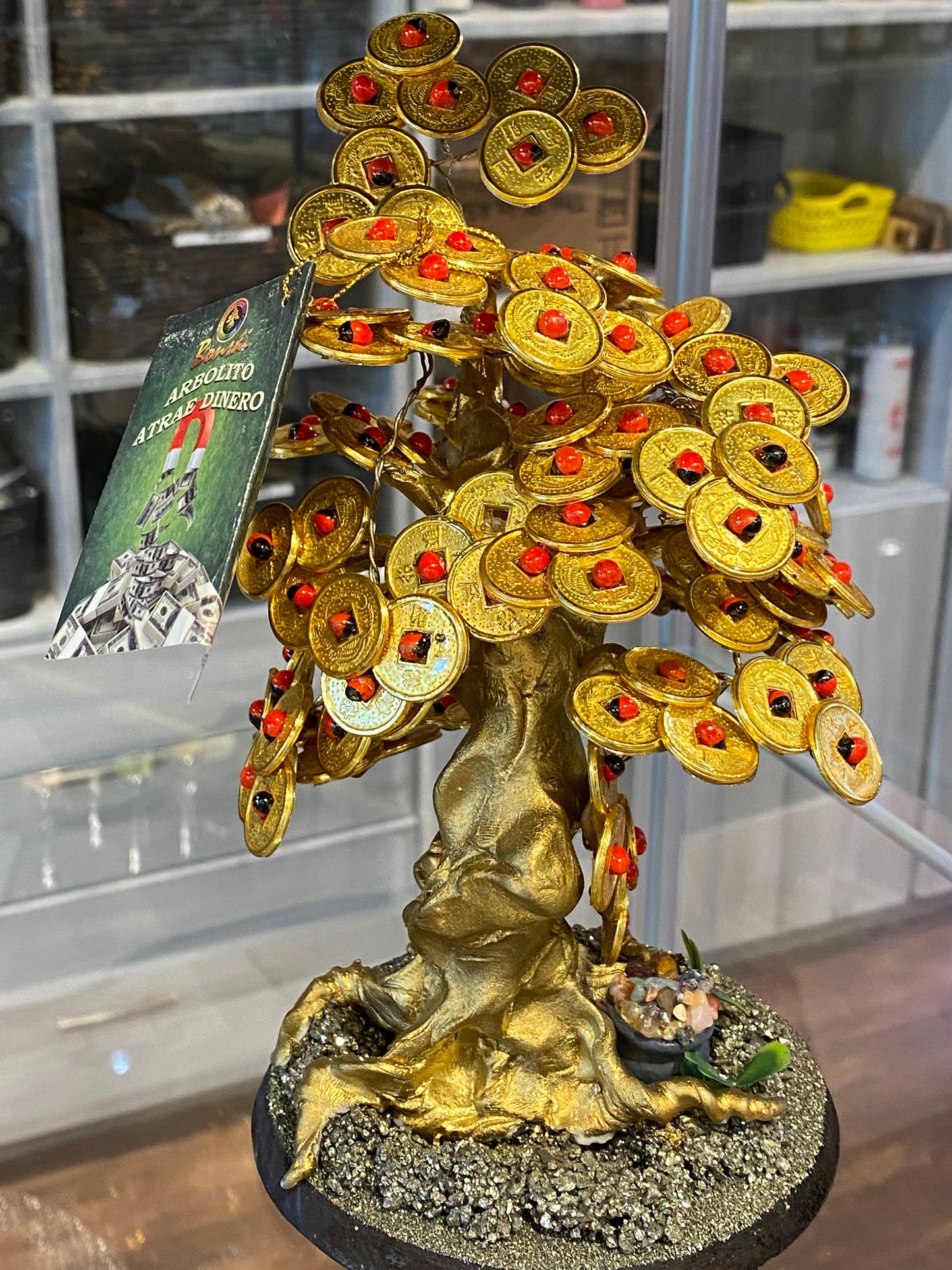 Feng Shui Bonsai Money Tree with Coins