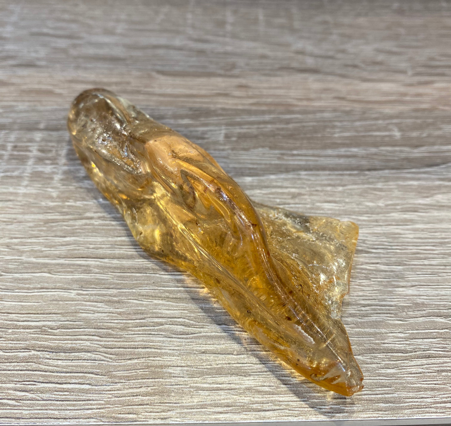 Amber Fossil Polished Specimen 1pc