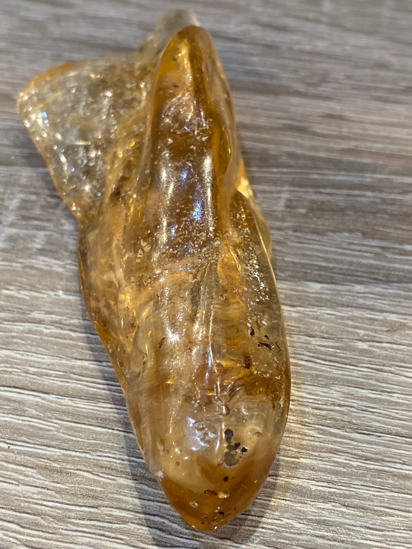 Amber Fossil Polished Specimen 1pc