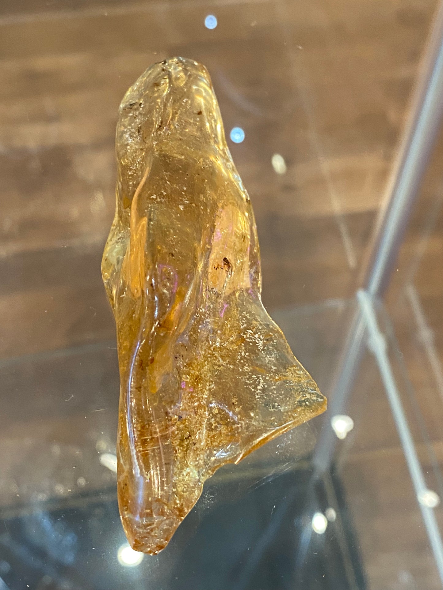 Amber Fossil Polished Specimen 1pc