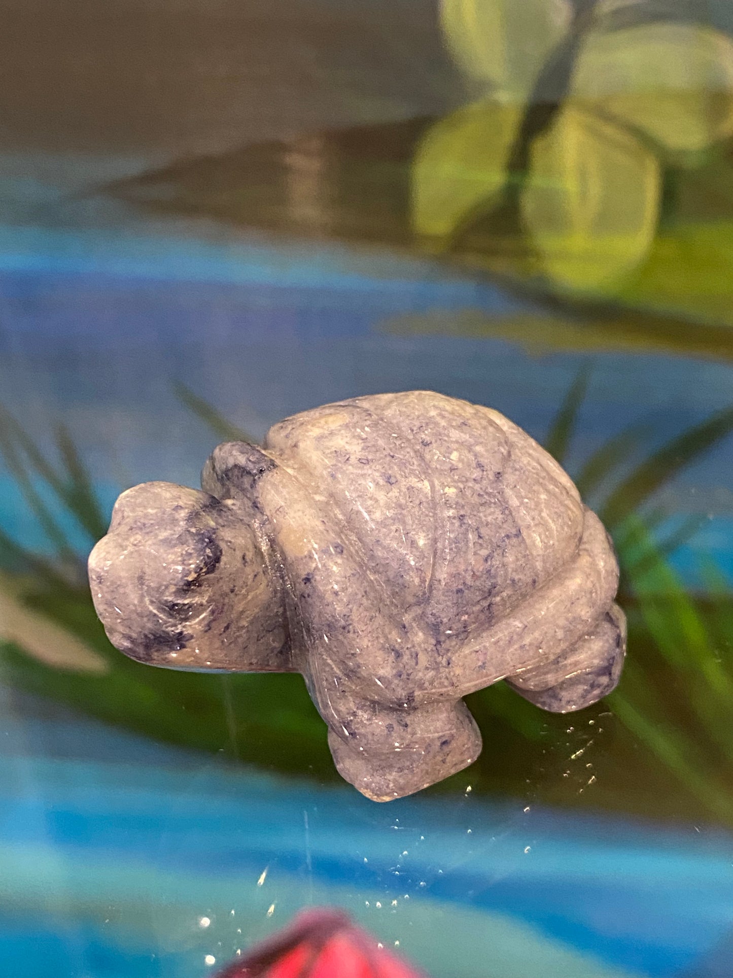 Spirit Animal Sodalite Turtle Hand Carved Polished Stone