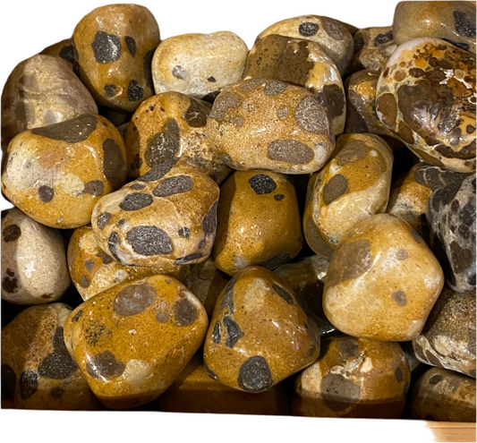 Leopard Skin Jasper tumbled stones for adaptability and nature connection.