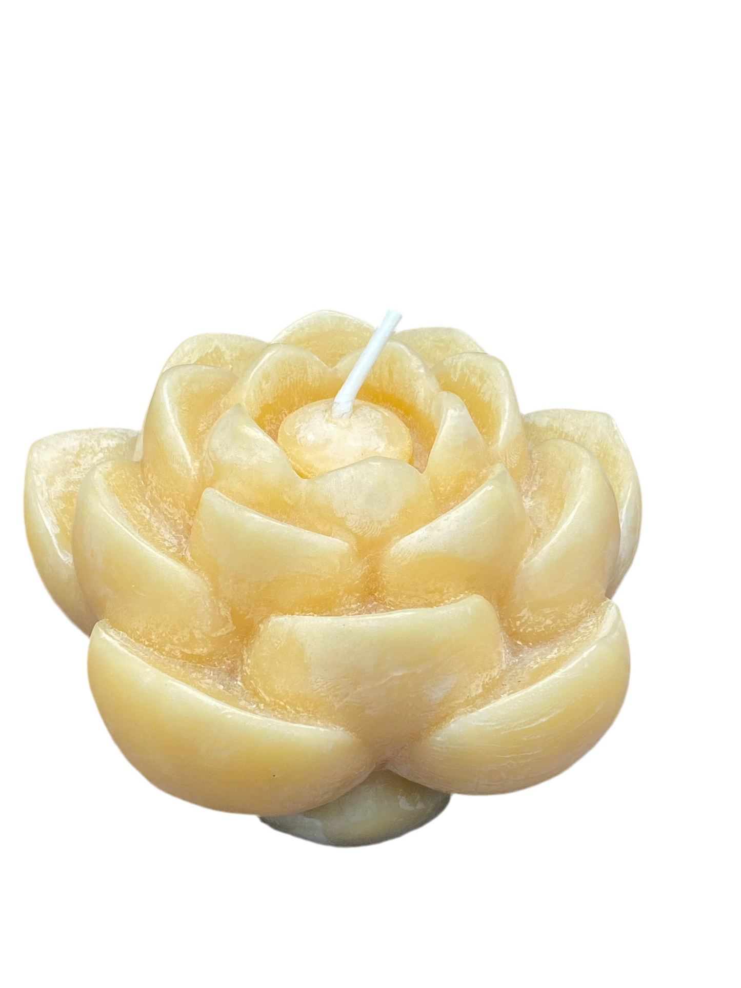 Beeswax Lotus Flower