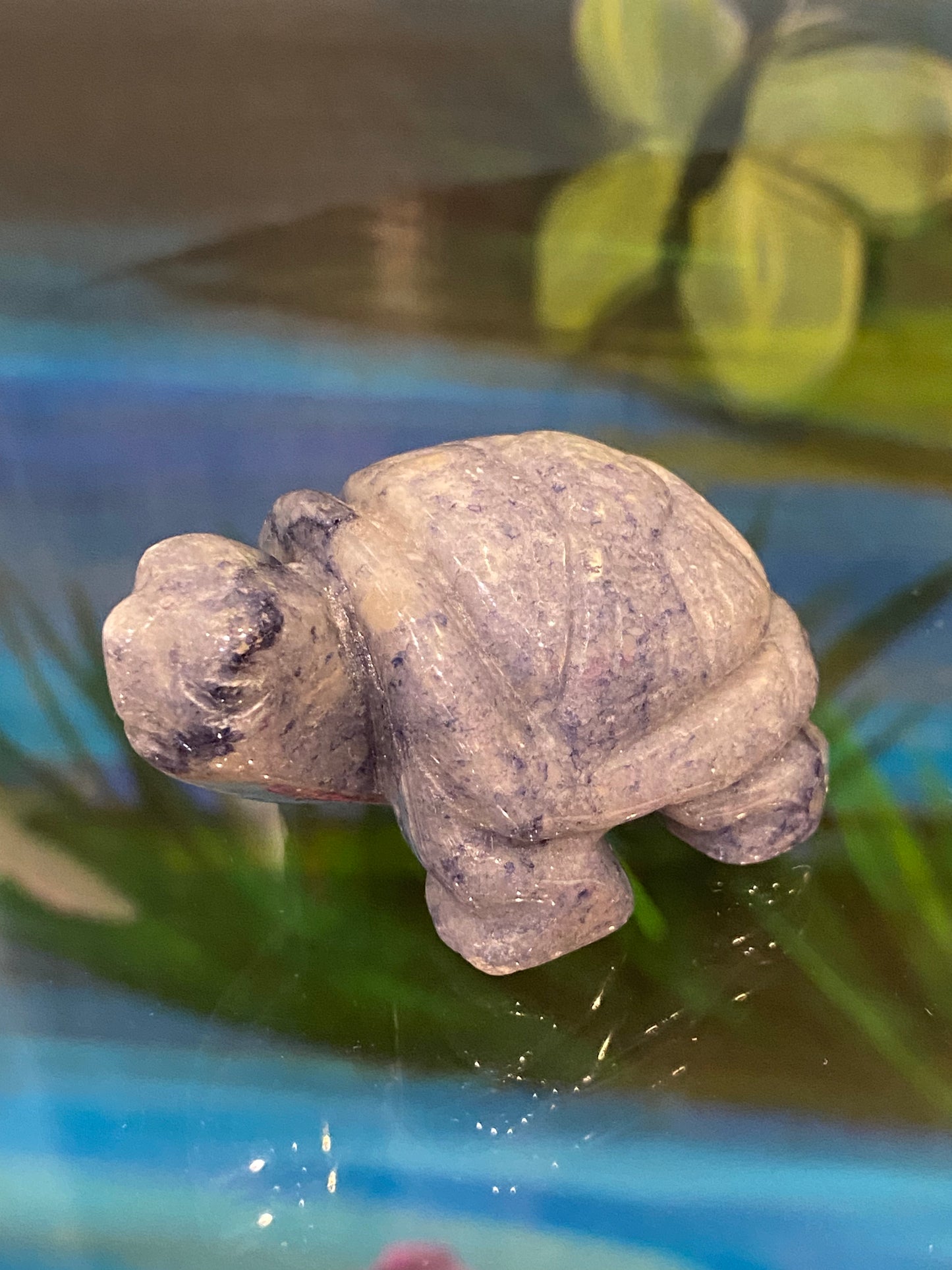 Spirit Animal Sodalite Turtle Hand Carved Polished Stone