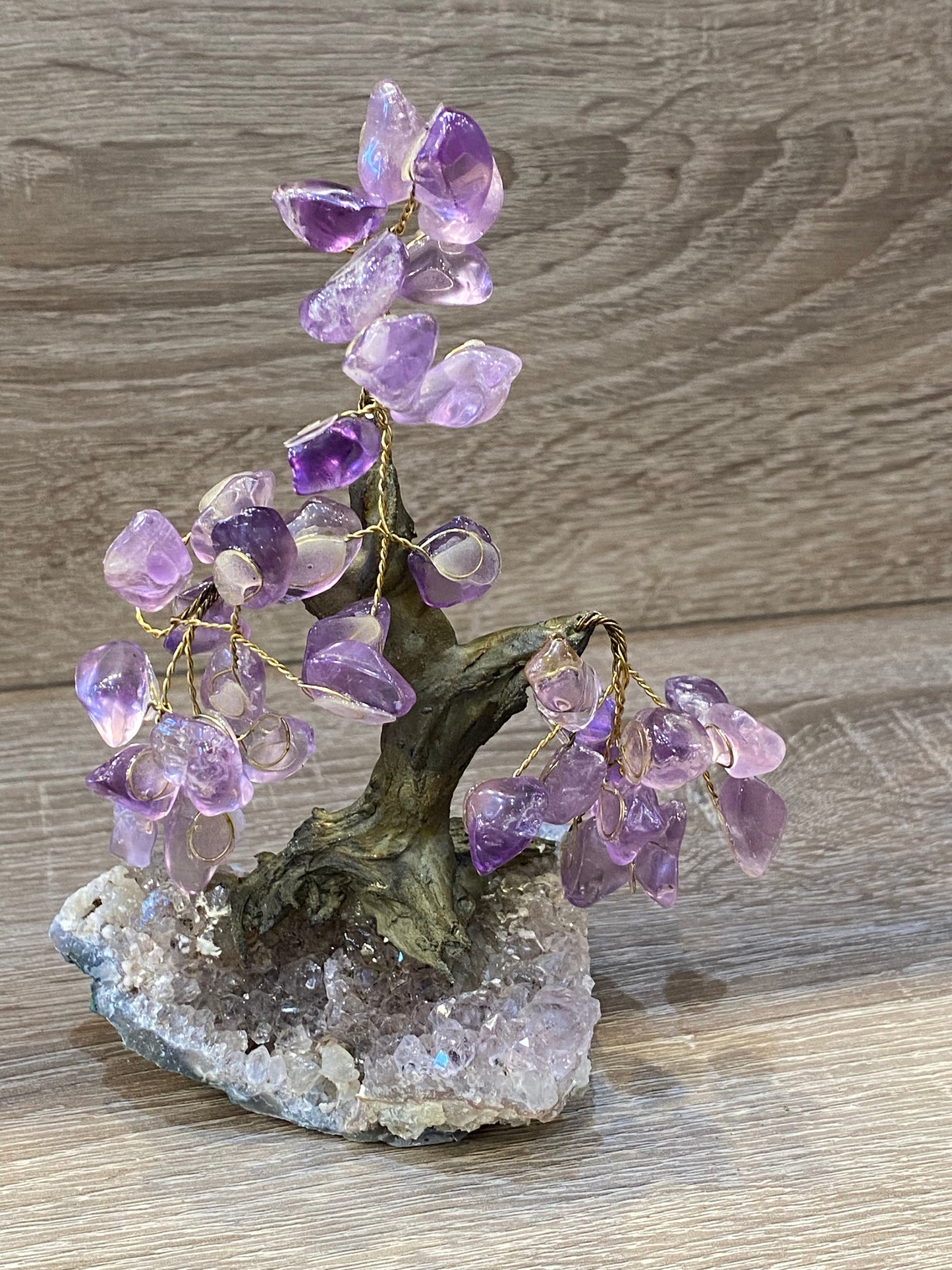 Gemstone Amethyst Bonsai Tree on Amethyst Cluster