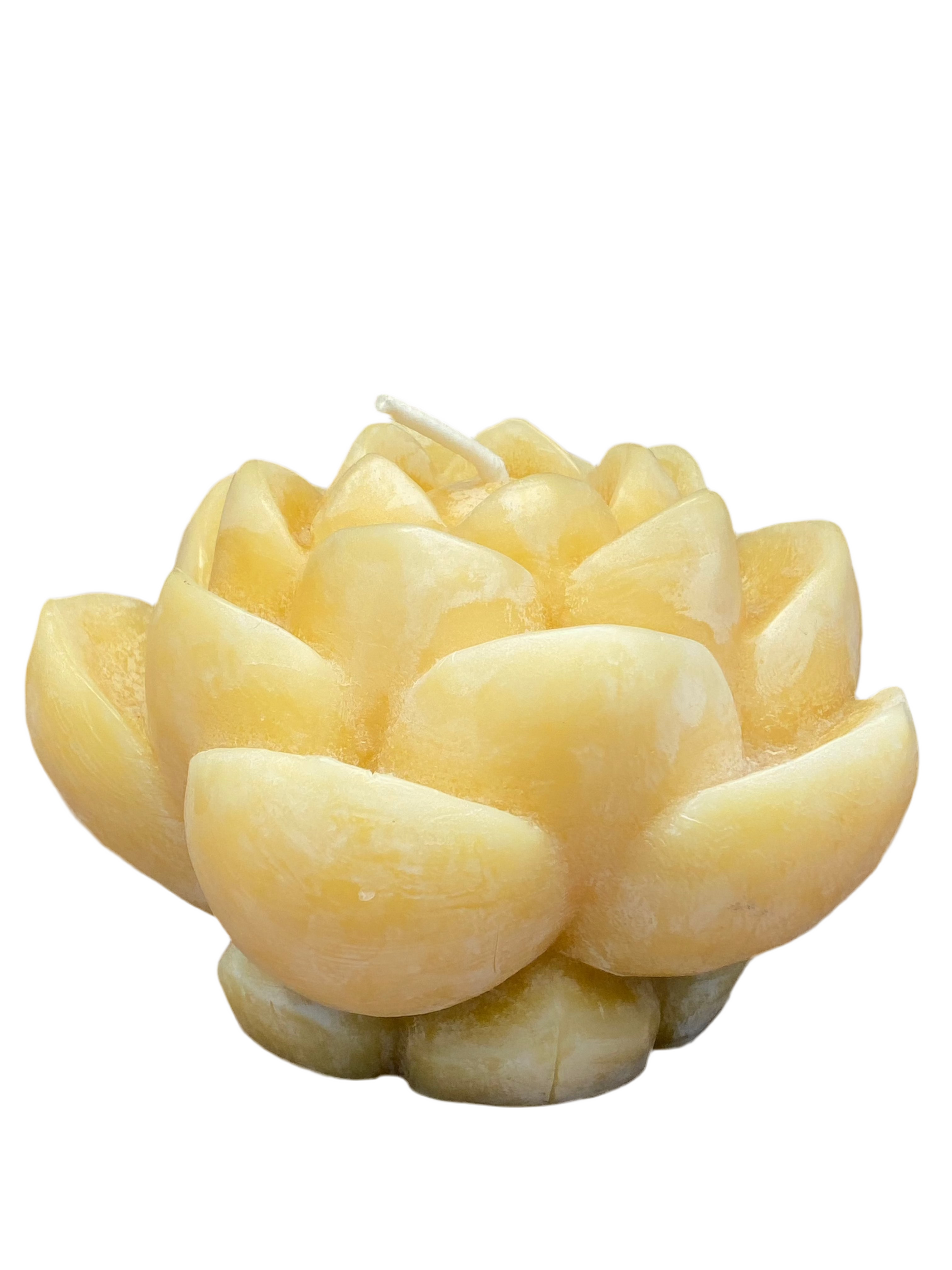 Beeswax Lotus Flower