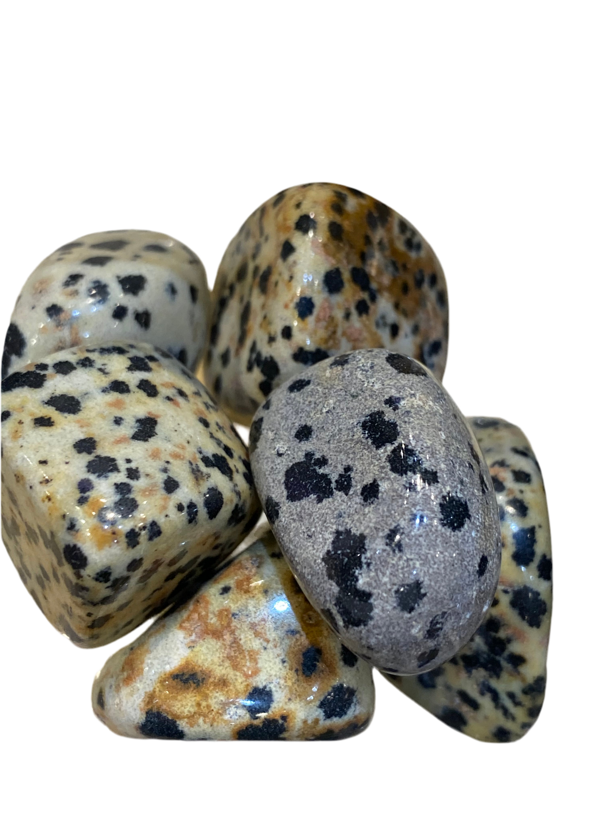 Dalmatian Jasper Stone 