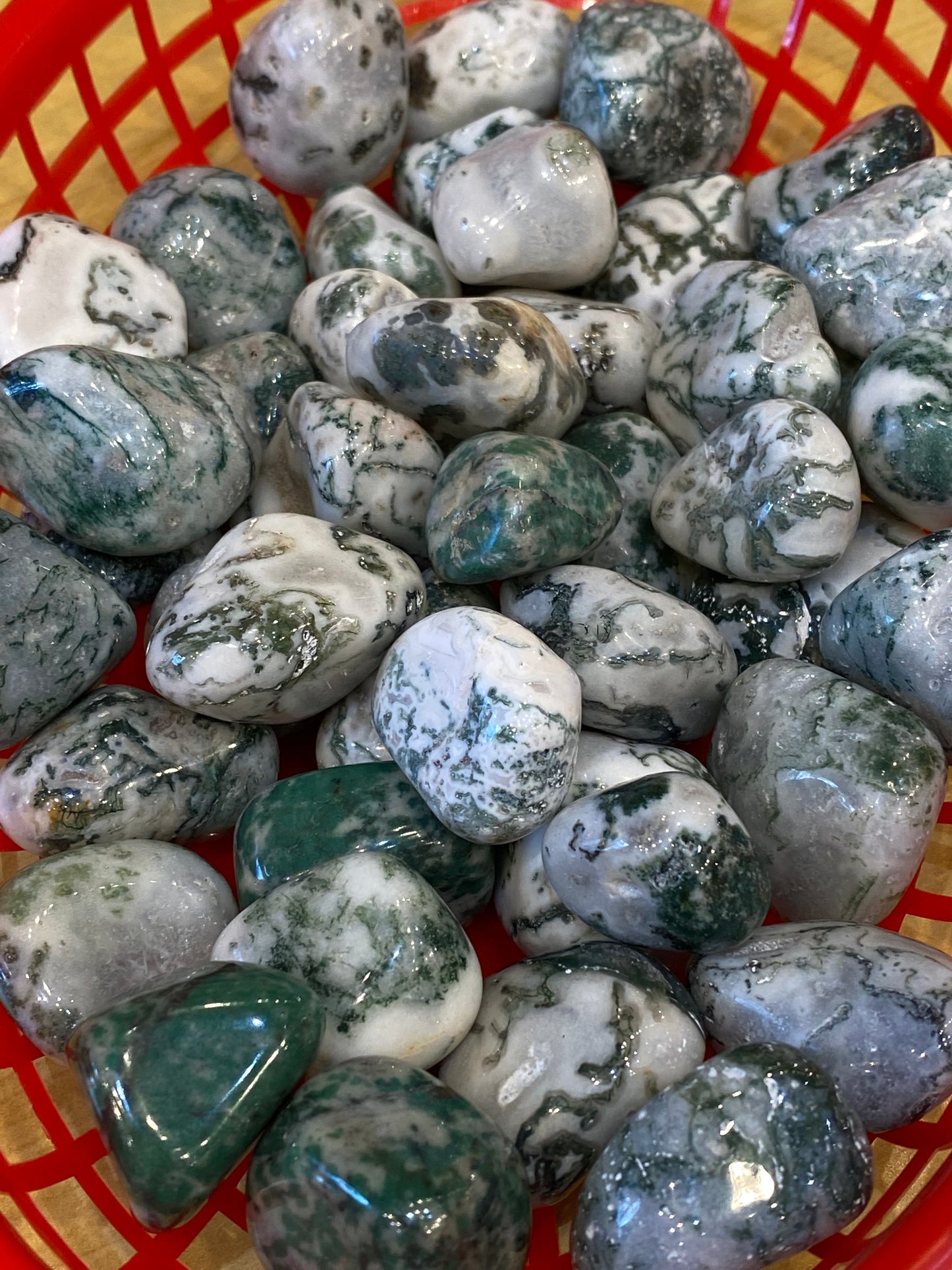 Tree Agate Tumbled Medium Stone 1pc