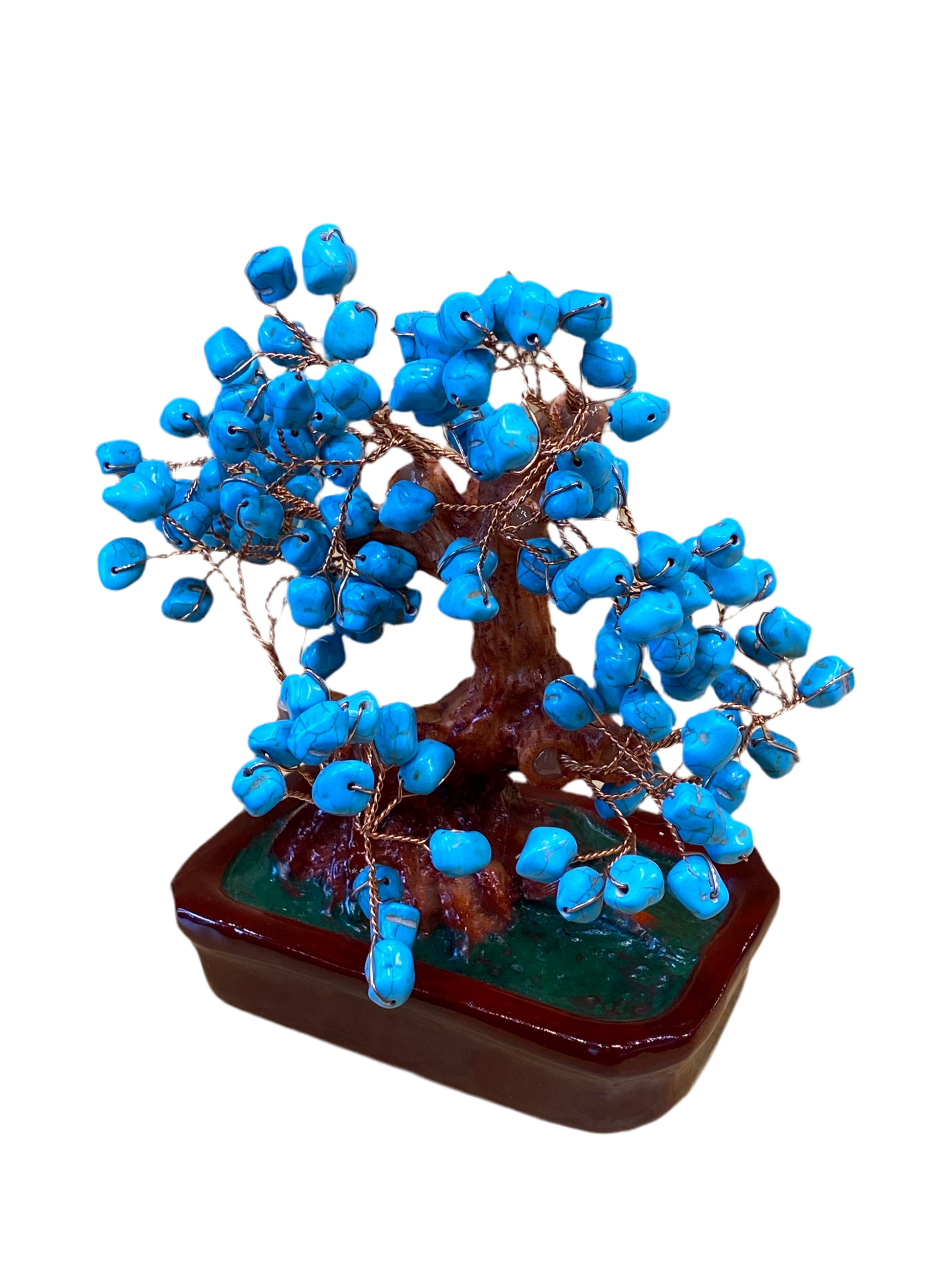 Bonsai Turquoise Tree