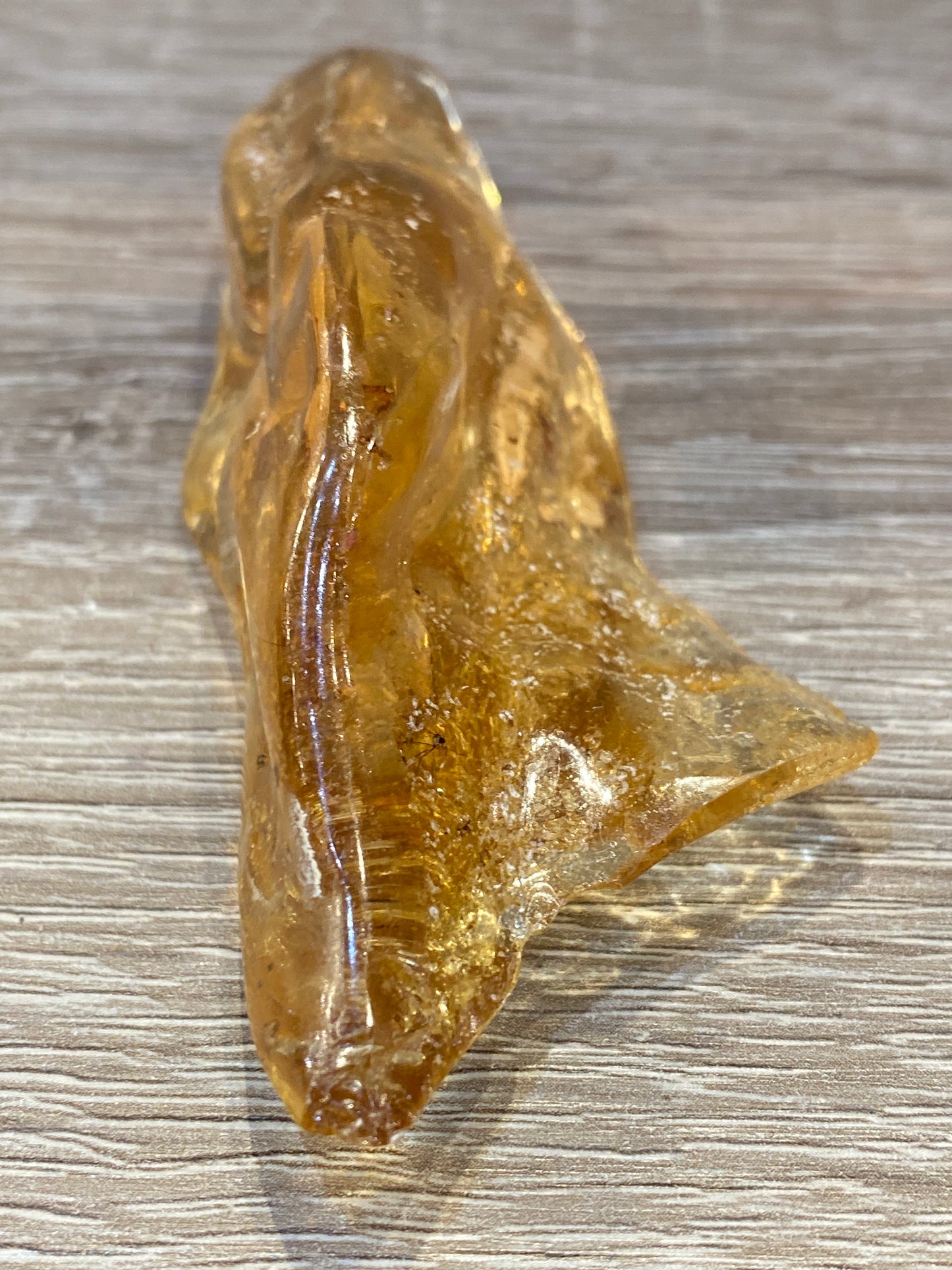 Amber Fossil Polished Specimen 1pc