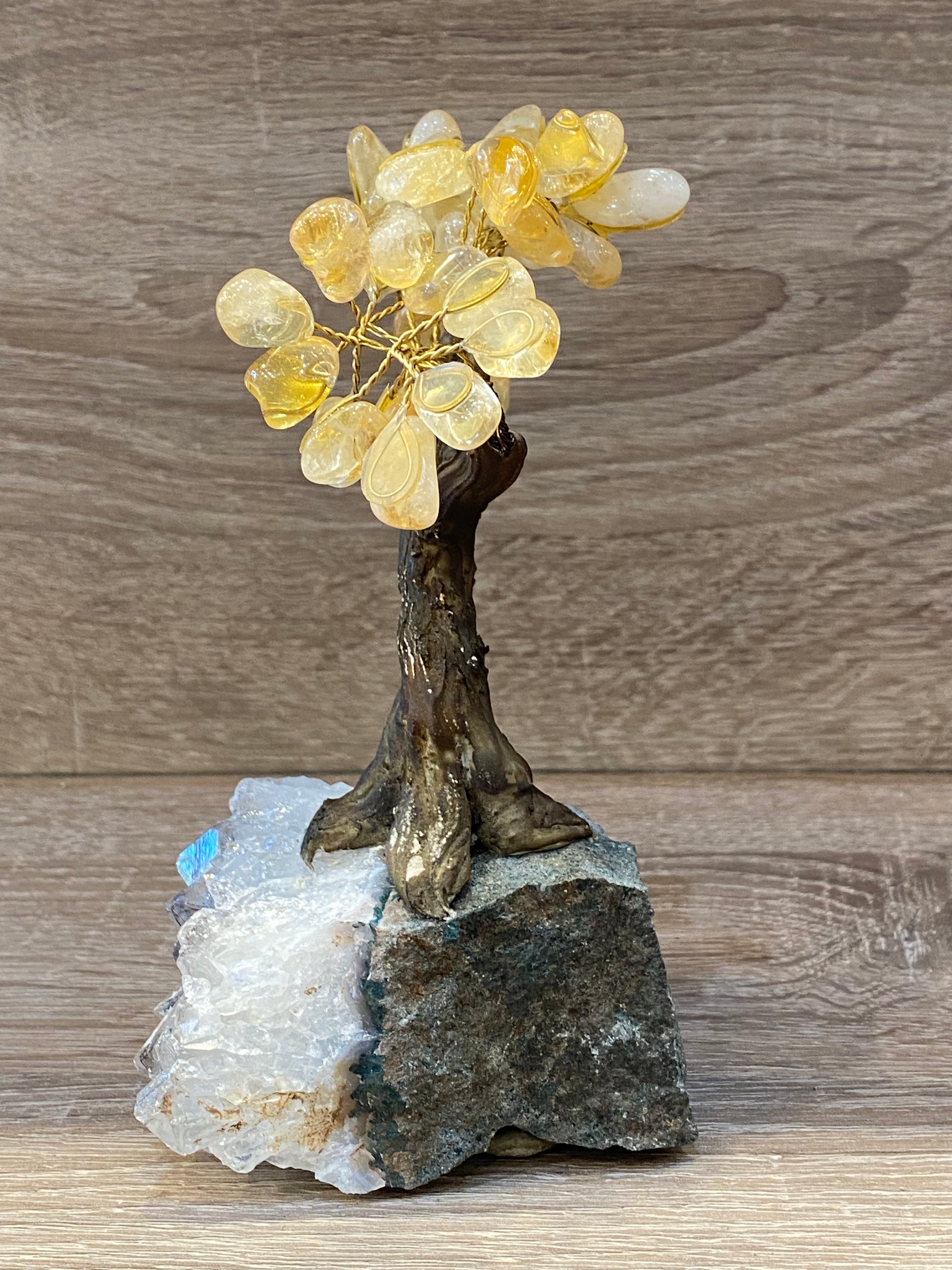 Bonsai Gemstone Citrine Tree on a Smoky Quartz Cluster